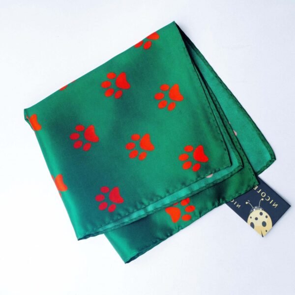 N&G Pocket Square - Adenle