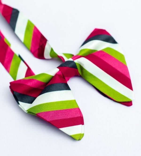 N&G Bow Tie - Gobir