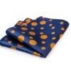 N&G Reversible Executive Polka Pocket Square - Navy Blue and Rust