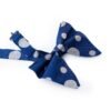 N&G Polka Dot Bow Tie – Blue and Grey N&G ESSENTIALS BOX - SET 34