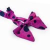 N&G Polka Dot Bow Tie – Purple and Blue N&G ESSENTIALS BOX - SET 36