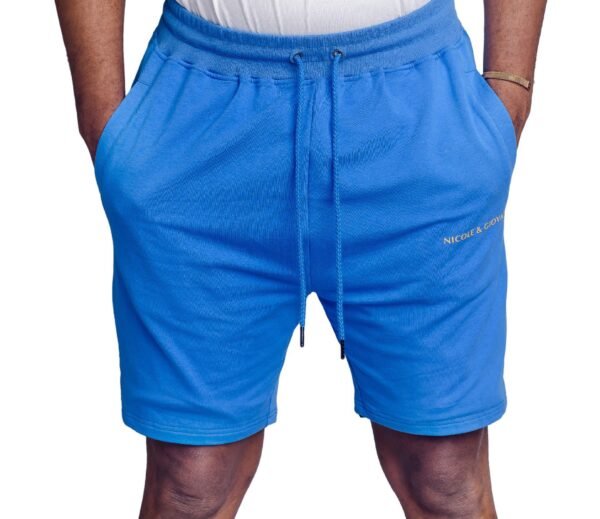 N&G Blue Shorts